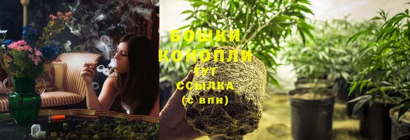 Бошки марихуана OG Kush  даркнет сайт  Кинель 